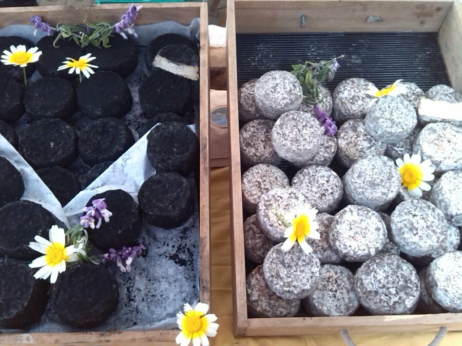 Lácticas Moho Natural y con Carbón Vegetal