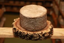 Queso Semicurado de Cabra, Madurado en Madera de Chopo