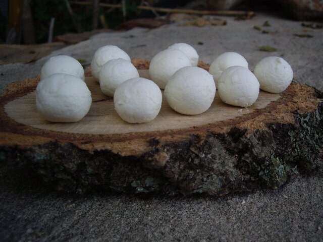 Minibolitas de Queso