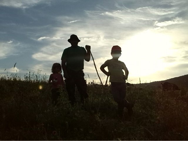 Atardecer Con Cabras