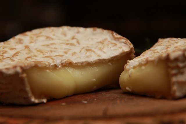 Cremoso de Bolonia
